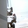 パネル外壁(ネオパリエ)の雨漏り事例 川崎店