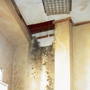 改修ドレン施工不良(隠ぺい配水管漏水) 田端店