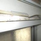 雨漏り修理のトラブル 東大阪中央店