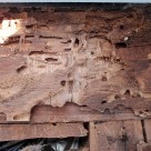 「雨漏り相談、誰に頼んだらいいの?」 小平店