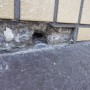 雨漏り原因予備軍 練馬店