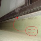 防水端末押え金物が原因の雨漏り 練馬店
