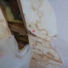 雨漏りの二次被害について 西東京店