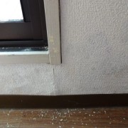 魅力ある職人「雨漏り110番ネットワークの雨漏りハンター!!」 富山店