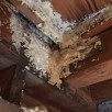 雨漏りが抱えるリスク【雨漏り110番品川店】