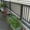 鉄骨造・屋上からの雨漏り【雨漏り110番川崎店】