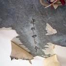 上階の人は気付かない時もある 練馬店