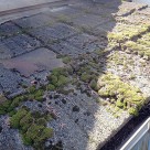 セメント瓦の雨漏り 大田店
