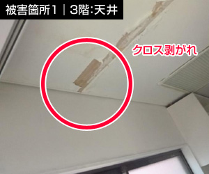 雨漏り補修のdiyをオススメしない理由 雨漏り110番西東京店 雨漏り職人 雨漏り診断士が更新するブログ 雨漏り110番